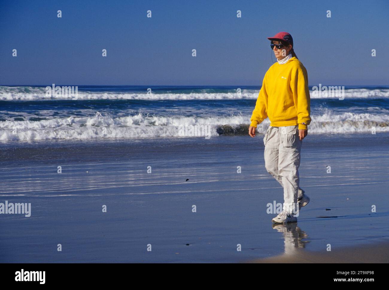 Beach, Carl G. Washburne Memorial State Park, Oregon Stock Photo Alamy