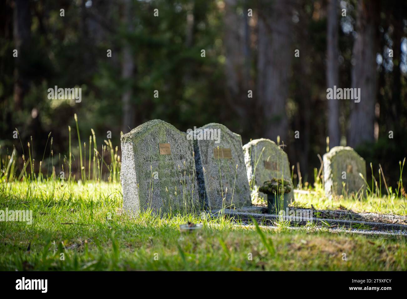 gravestone in a cemetery, with large marble tombstone. with other graves and funeral around Stock Photo