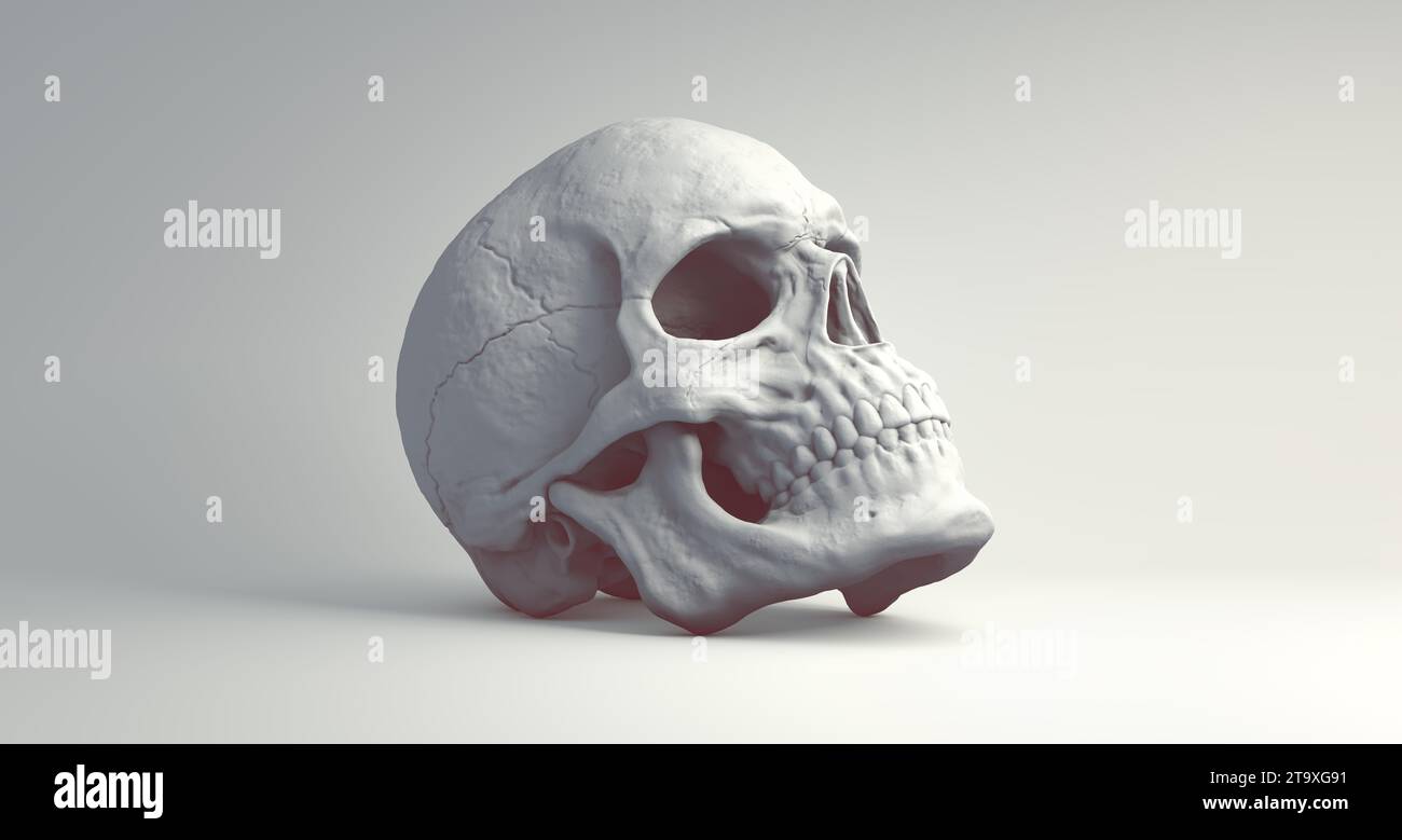 White Skull with Dark Red Shadow on a Grey Studio Background. Perspective View. Minimal concept. 3D render. Stock Photo