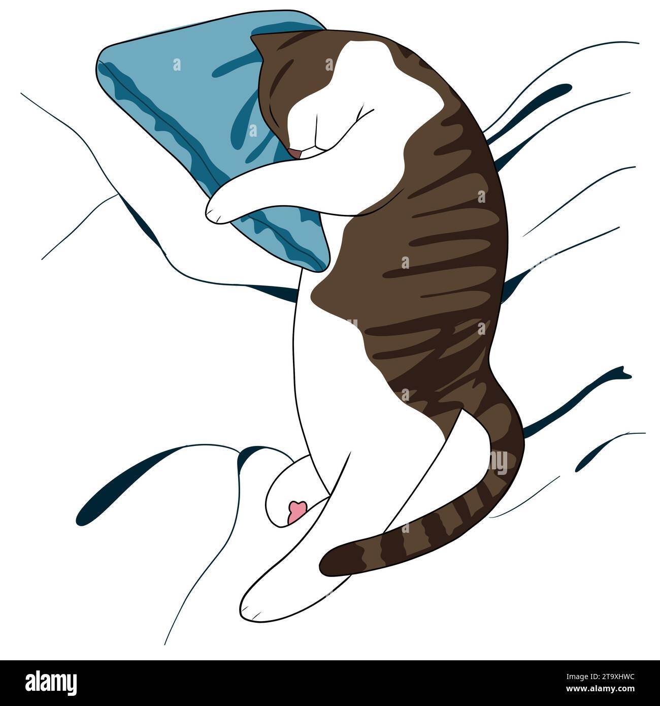 Cute cat sleeping on pillow illustration Stock Photo