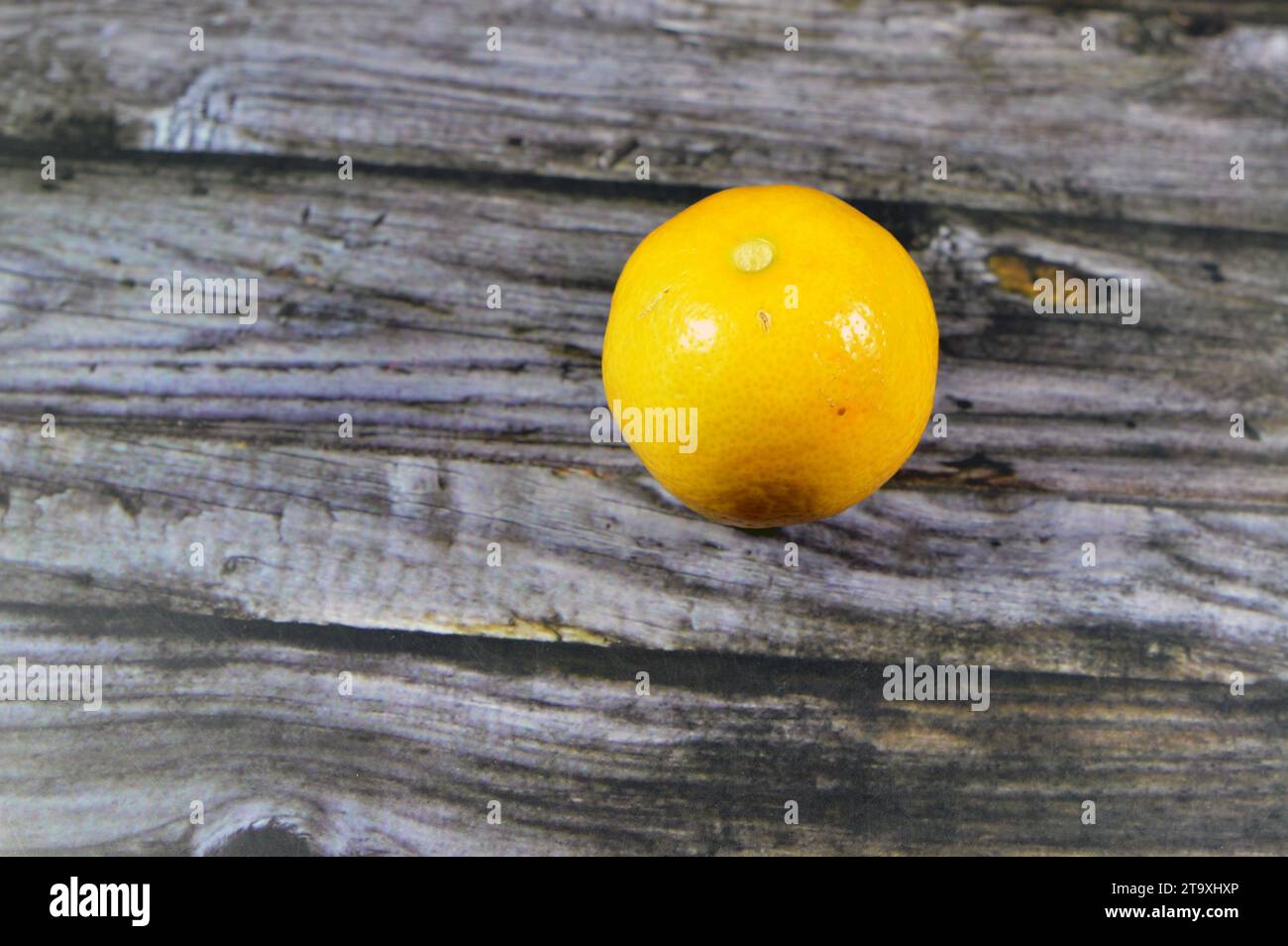 fresh yellow lemon, The lemon (Citrus limon) is a species of small evergreen trees in the flowering plant family Rutaceae, native to Asia, used in rec Stock Photo