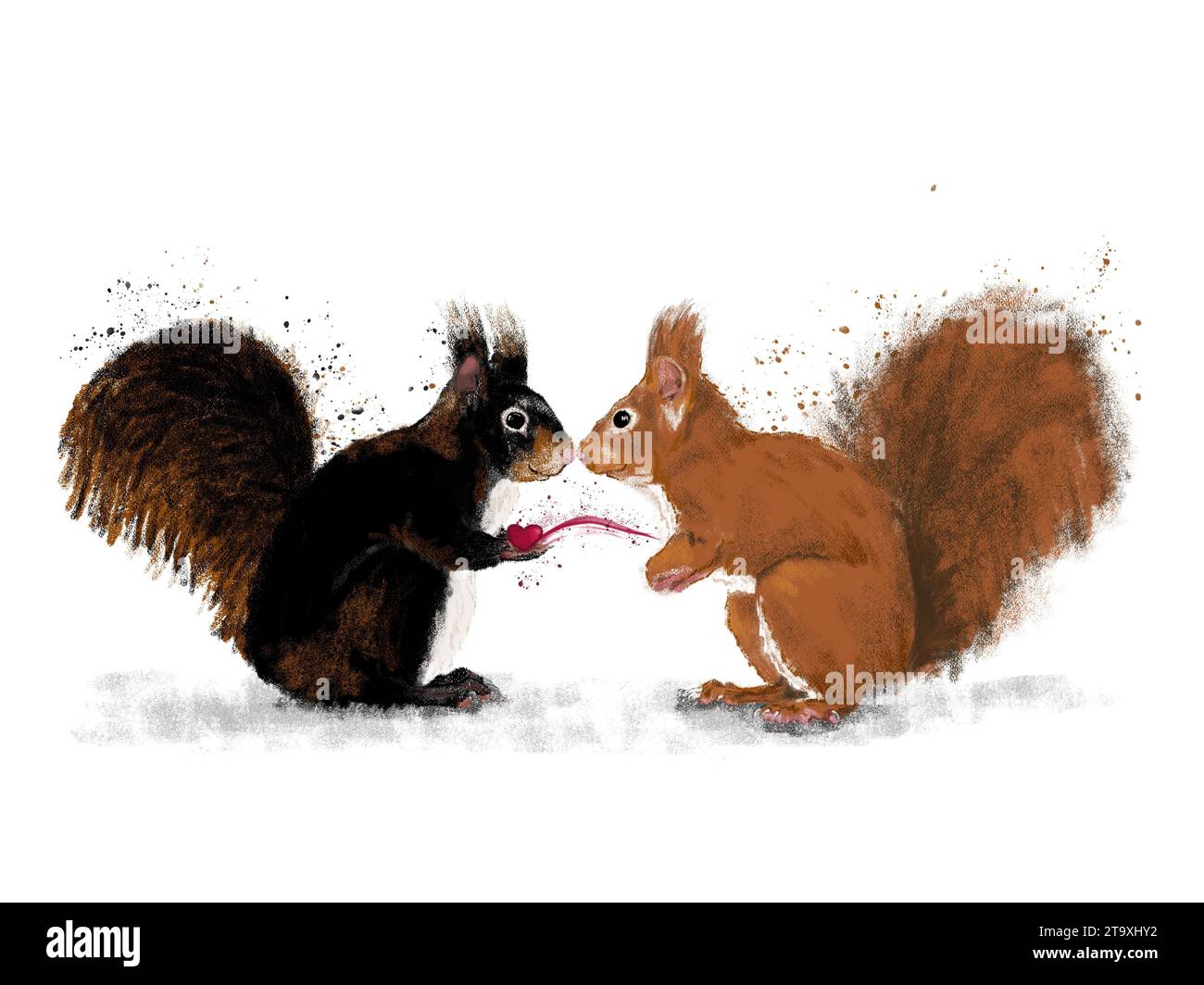 Two squirrels sharing their heart illustration Stock Photo