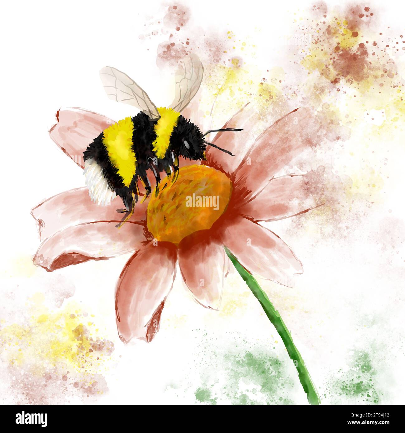 Cute bumblebee pollinating a flower Stock Photo