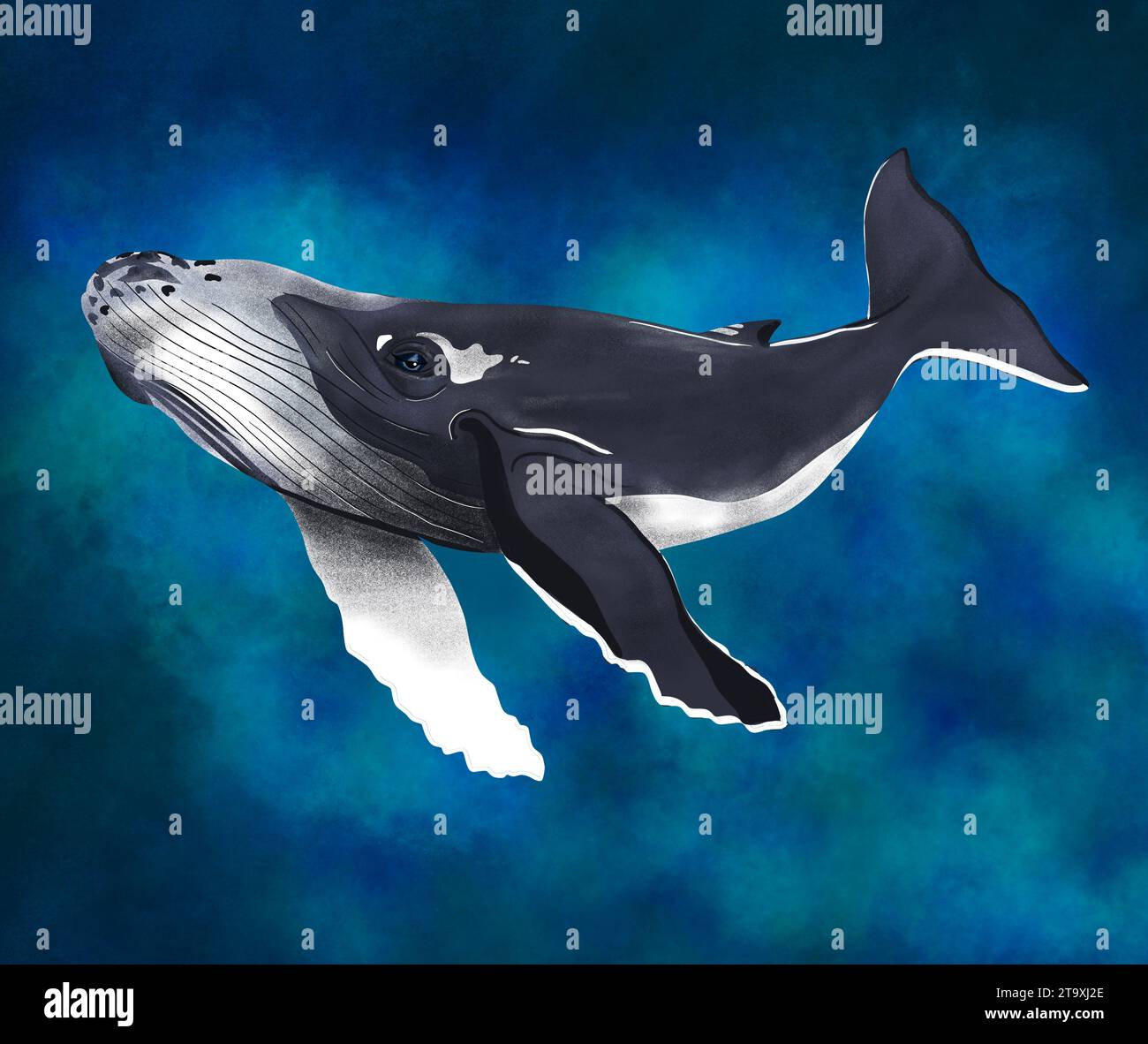 Large whale swimming in the ocean illustration Stock Photo - Alamy