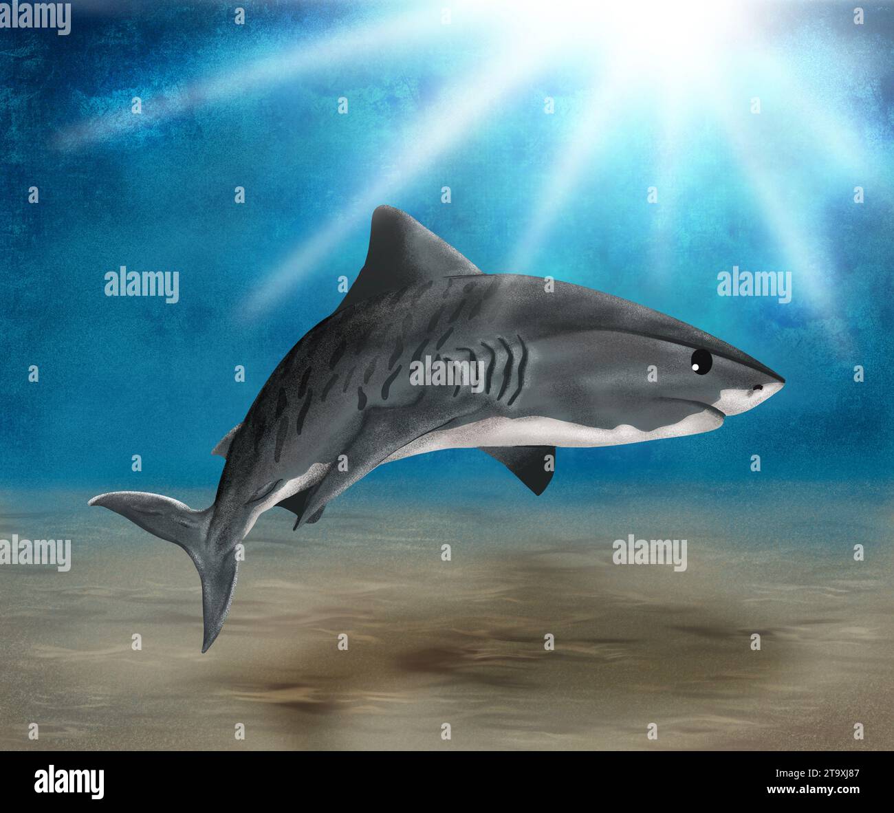 Tiger shark swimming in the depths illustration Stock Photo - Alamy