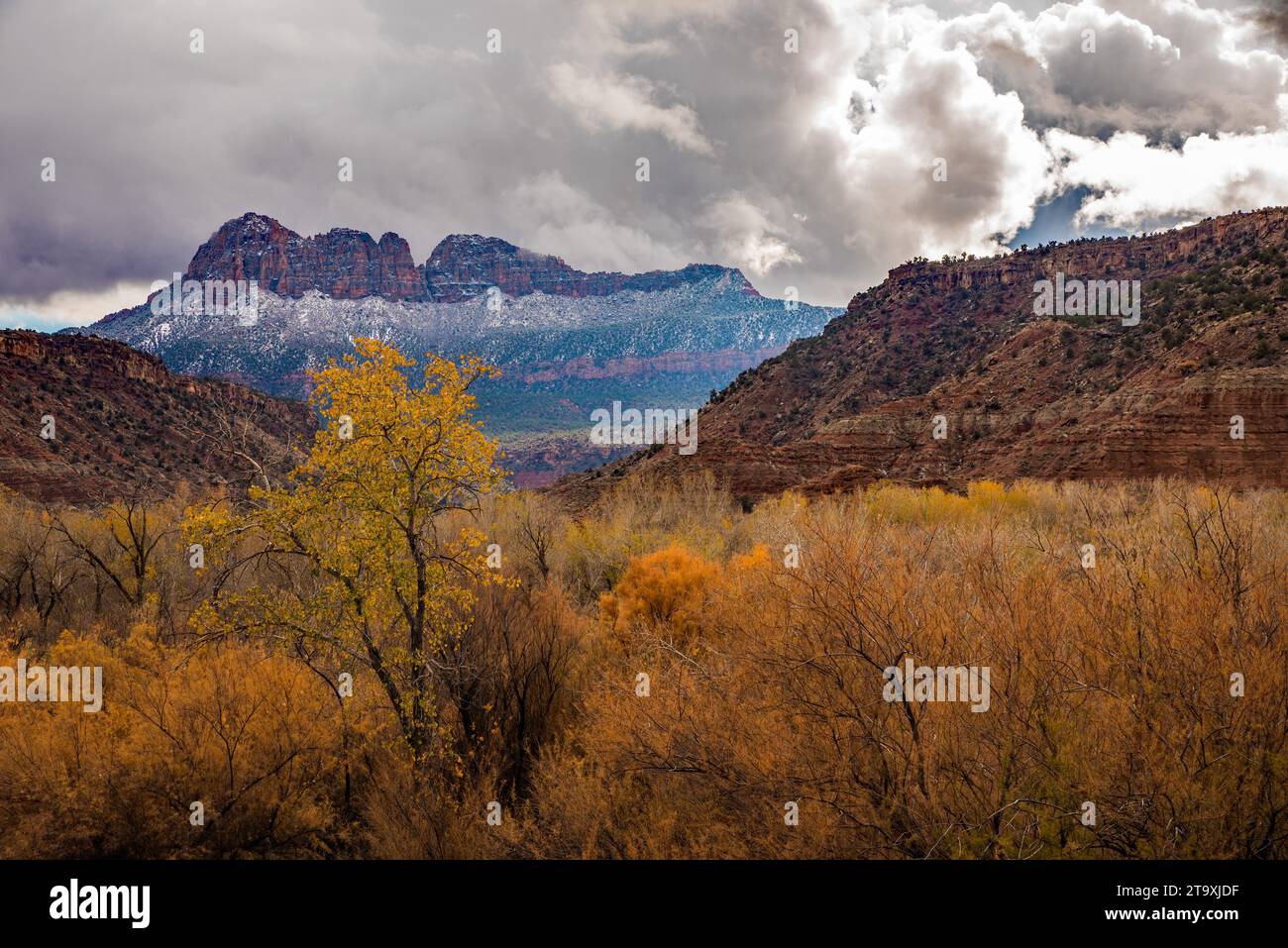 Distant view of Zions National Park from Hwy 9 near Springdale, UT. USA Stock Photo