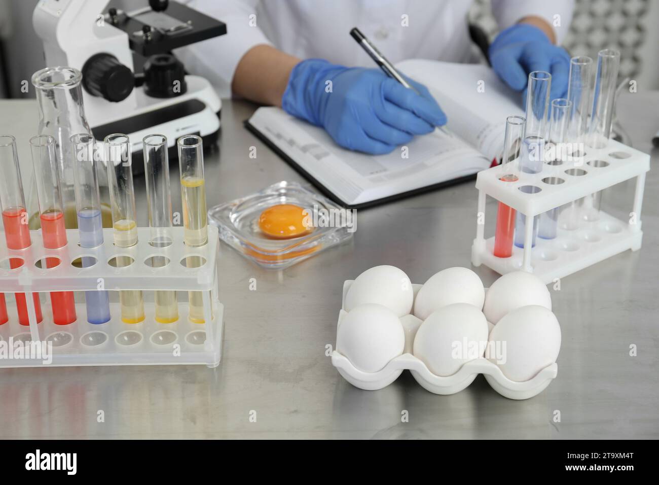Scientist proceeding quality control in laboratory, focus on fresh eggs Stock Photo
