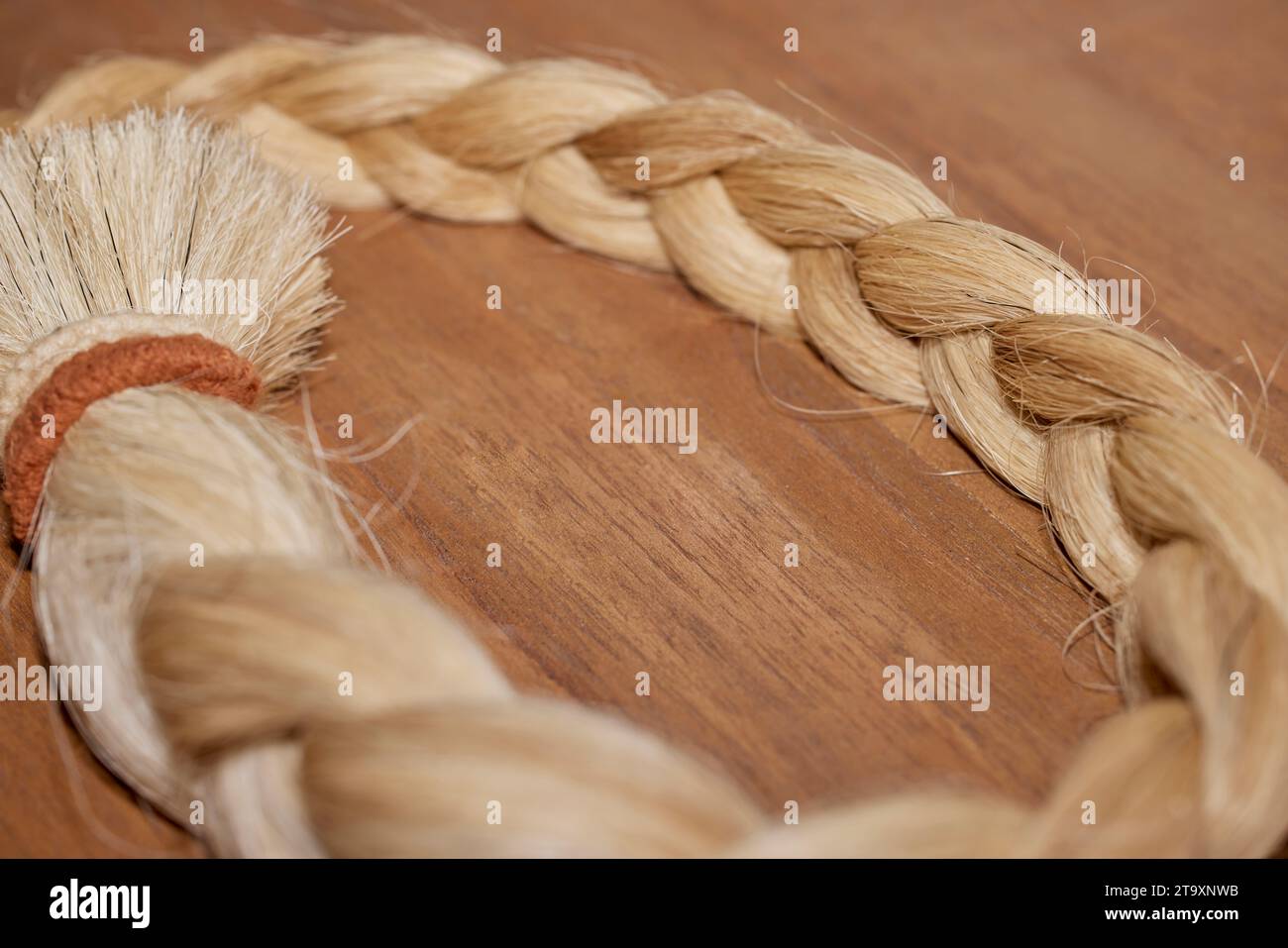 126 Horse Tail Braid Stock Photos - Free & Royalty-Free Stock