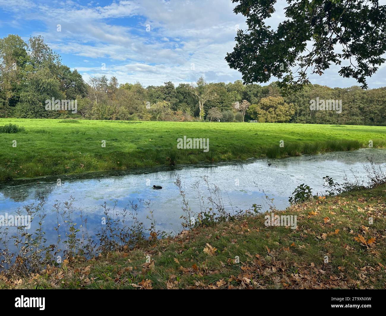 Beautiful water channel, green grass and trees in park Stock Photo