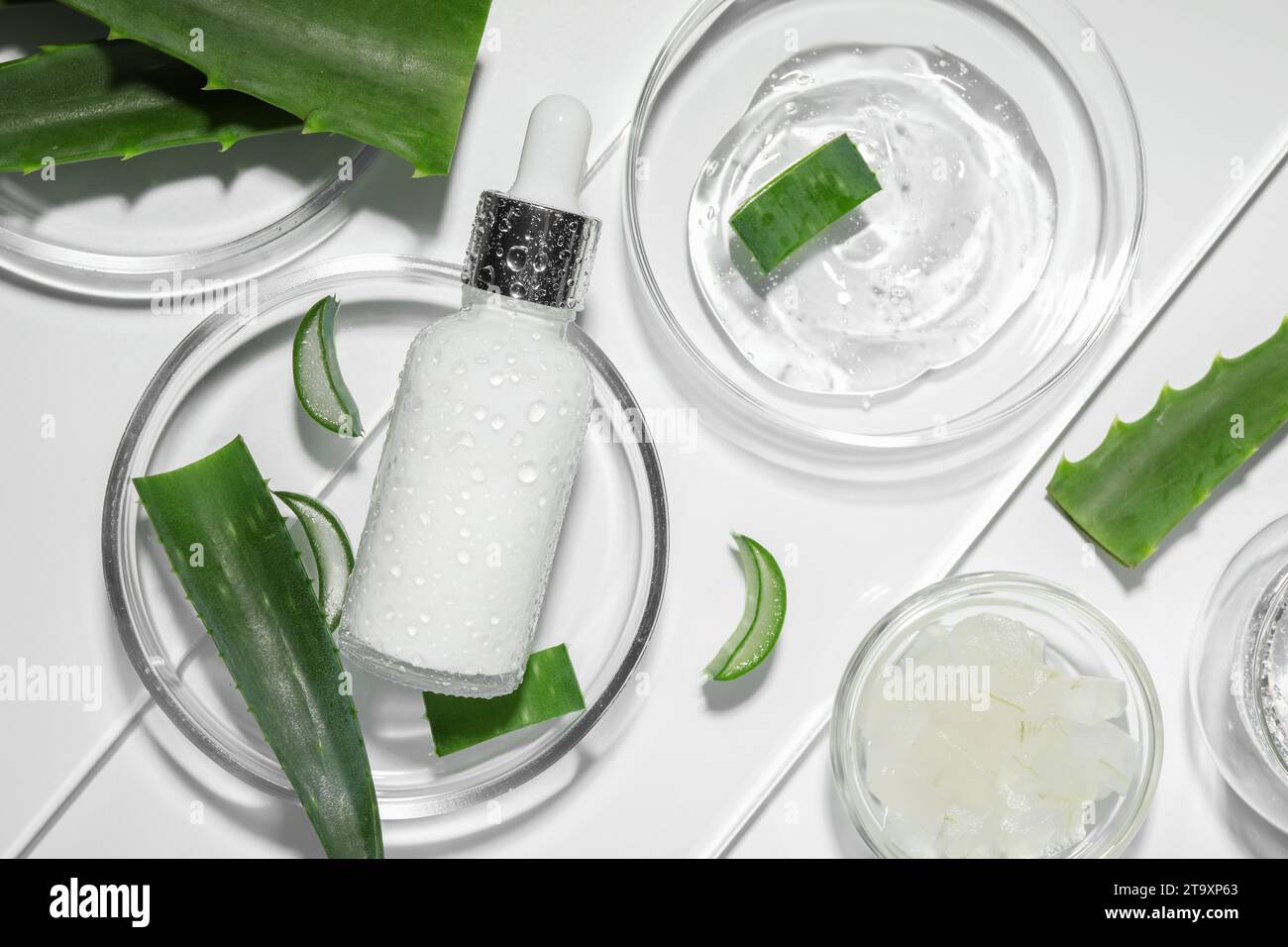 Flat lay composition with cosmetic products and cut aloe vera on white ...