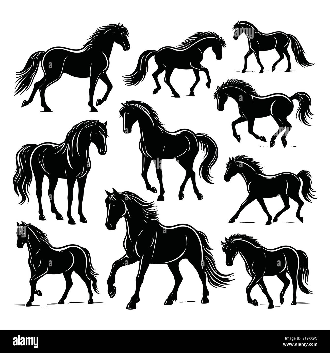 Set of horse silhouettes isolated on a white background, Vector illustration. Stock Vector