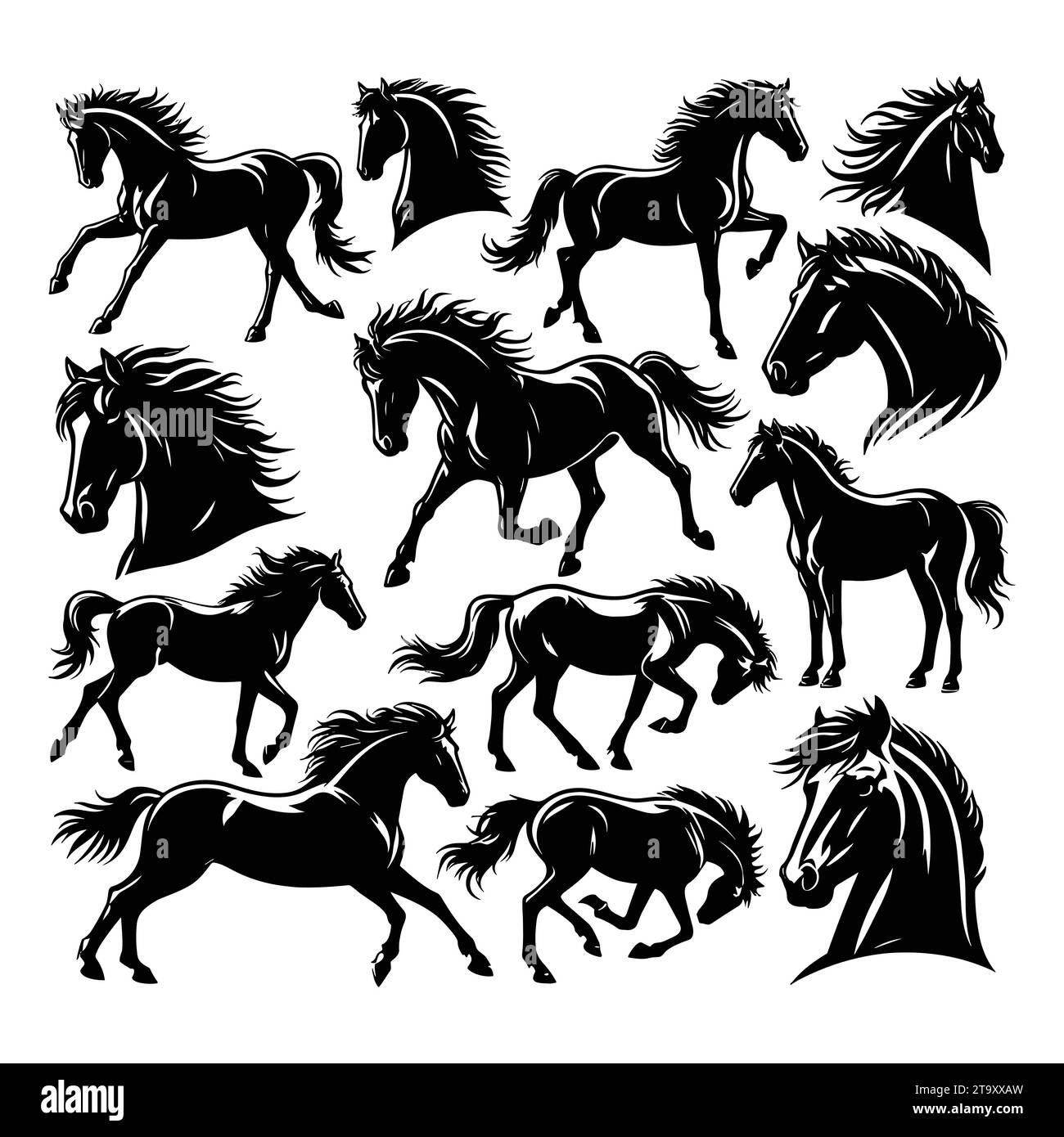 Set of horse silhouettes isolated on a white background, Vector illustration. Stock Vector