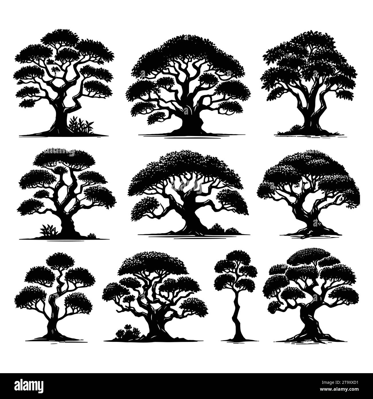 Set of tree silhouettes isolated on a white background, Vector ...