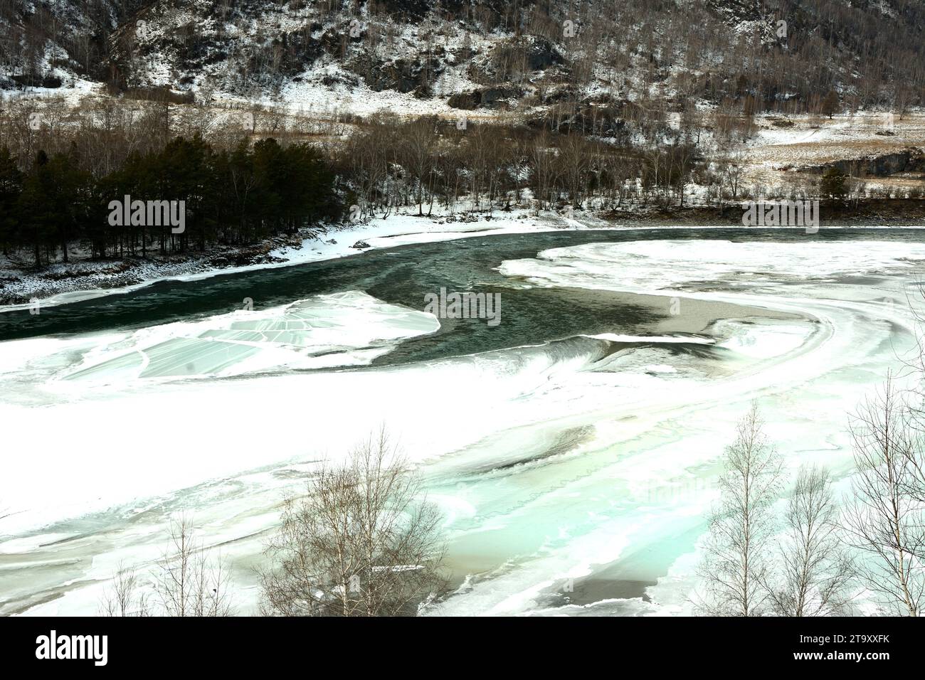 A clearing on the frozen bed of a beautiful river flowing down from the mountains in a rocky bed on a winter morning. Katun river, Altai, Siberia, Rus Stock Photo