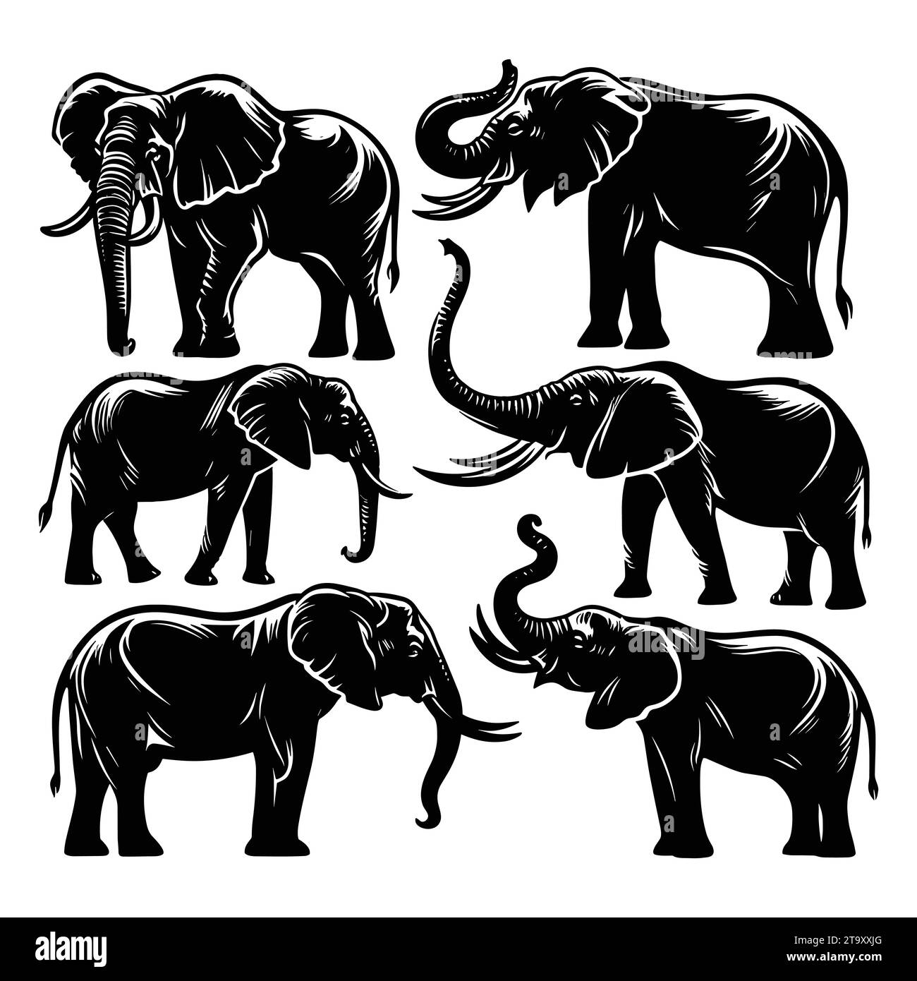 Set of elephan silhouettes isolated on a white background, Vector ...