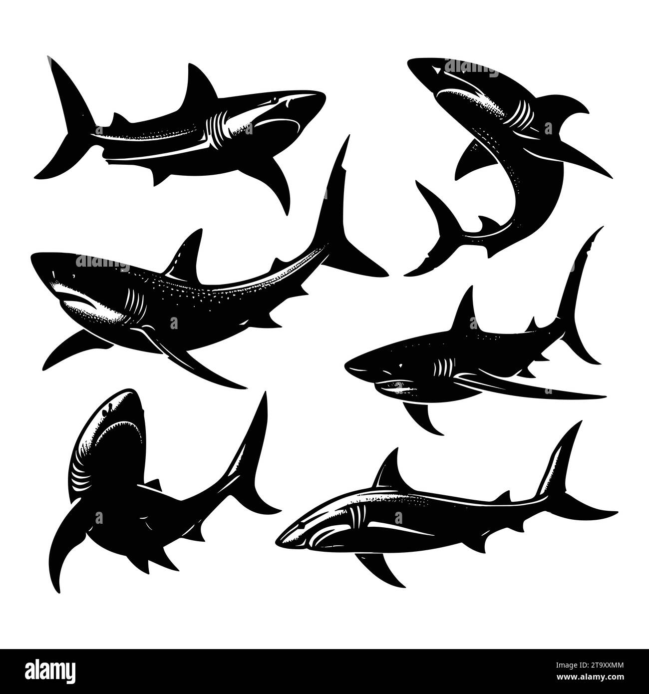 Set of shark silhouettes isolated on a white background, Vector ...