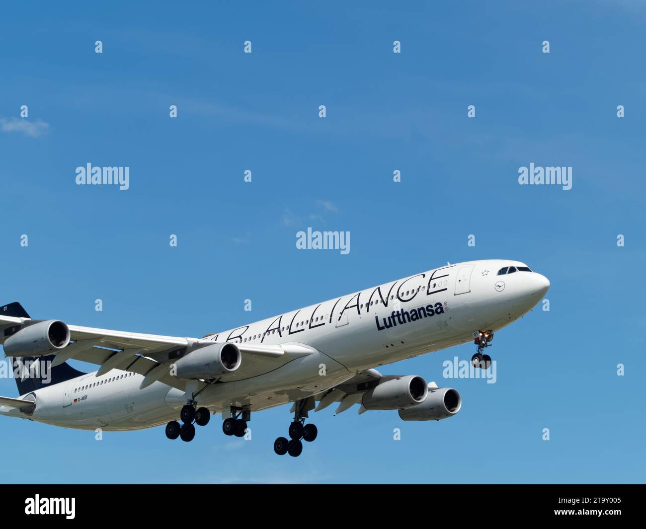 Lufthansa Air Alliance Airbus A340. Montreal,Quebec,Canada Stock Photo