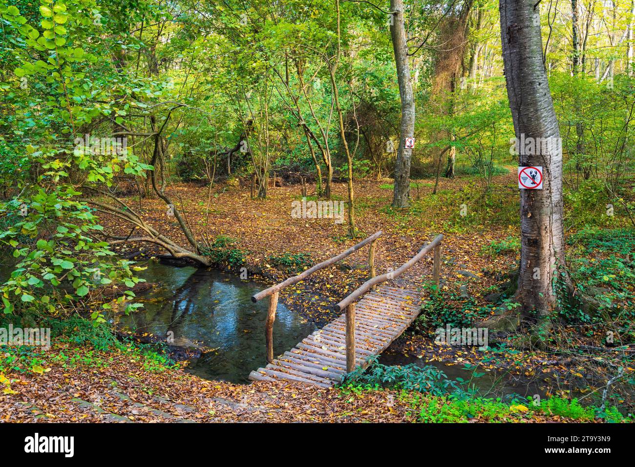 Small bridge across creek in hi-res stock photography and images - Alamy