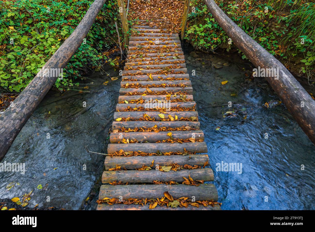 Wooden bridge over a river in the forest Stock Photo - Alamy
