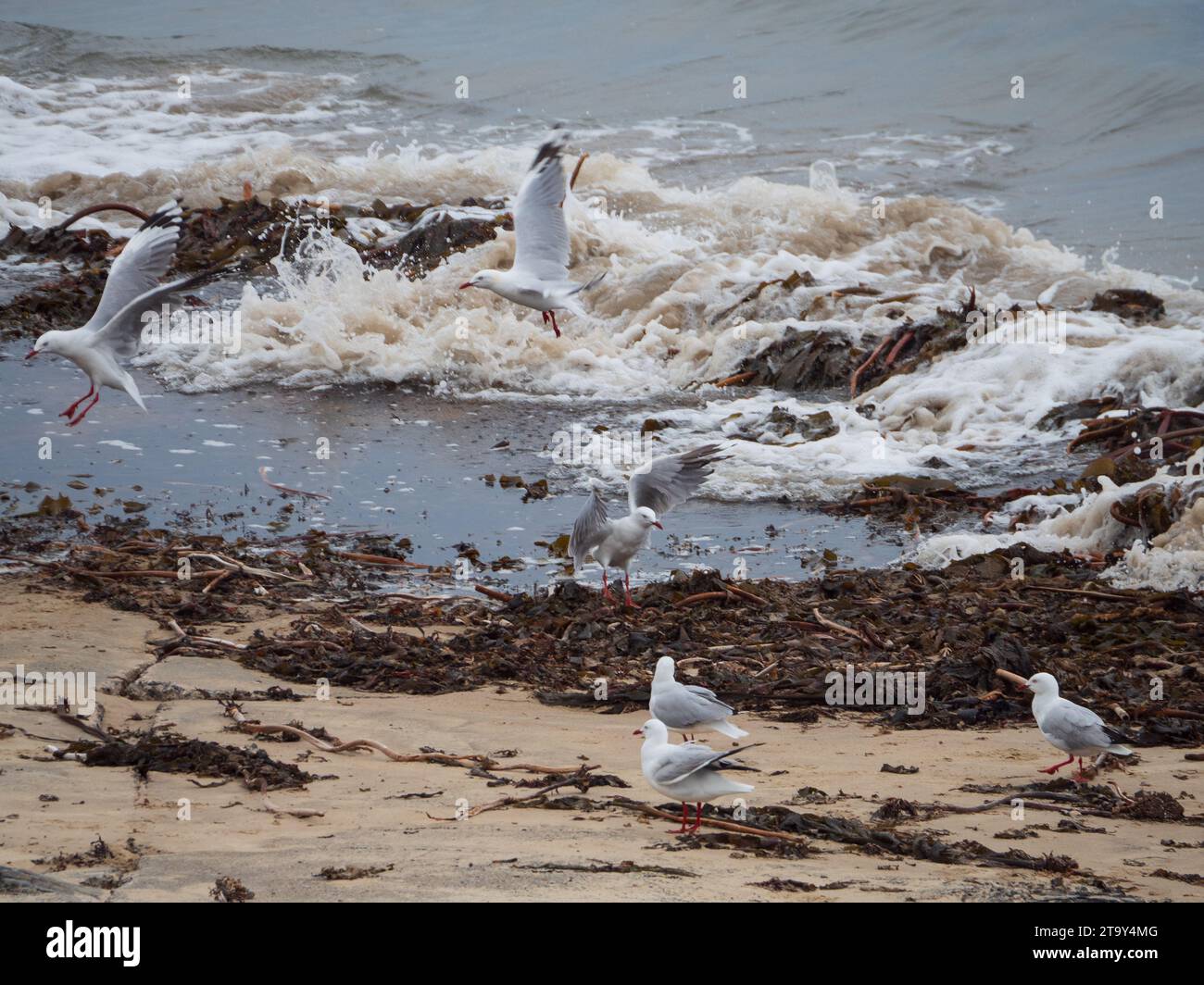 Taking fllight hires stock photography and images Alamy