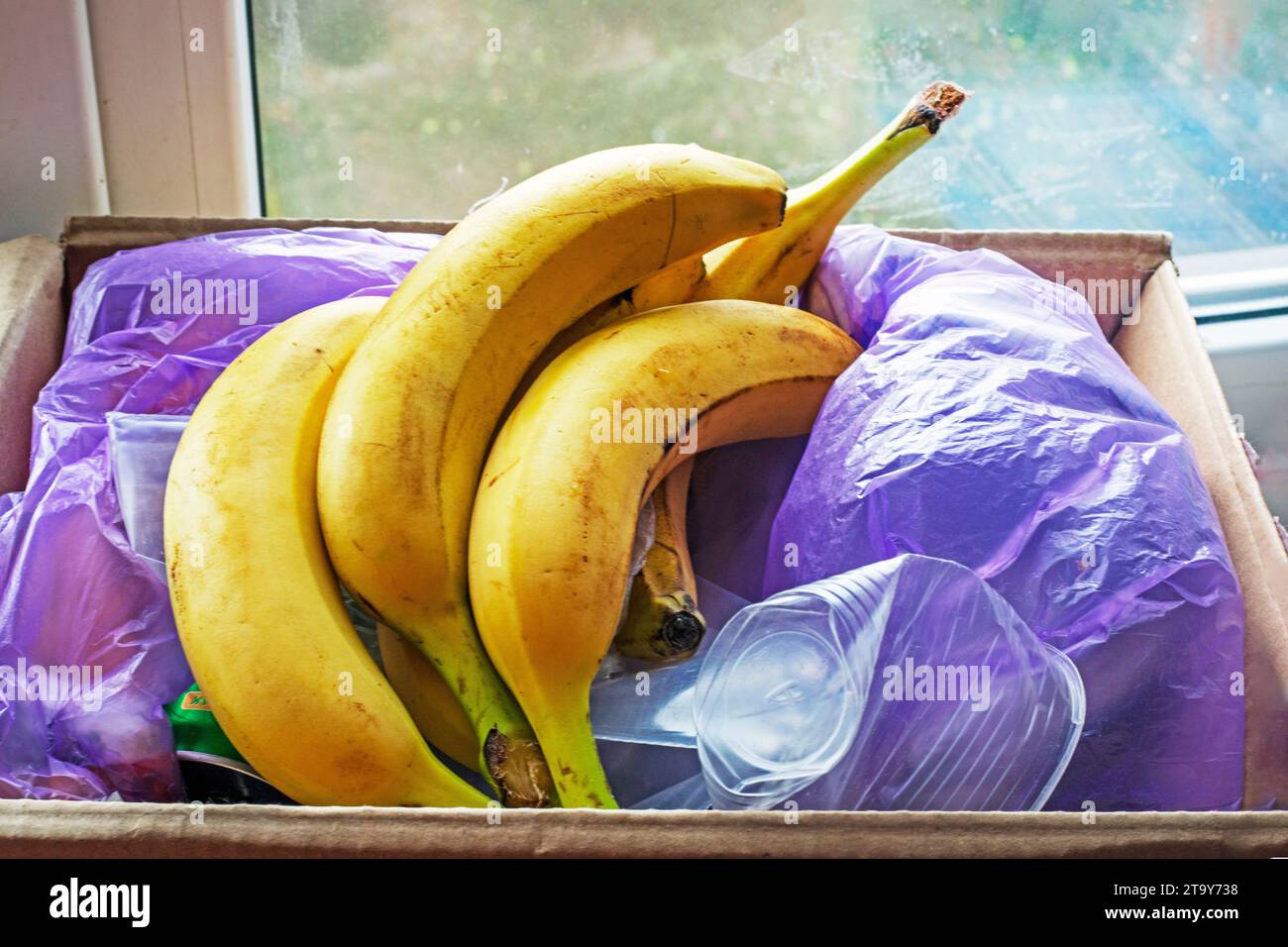 Alternatives to plastic bags hires stock photography and images Alamy
