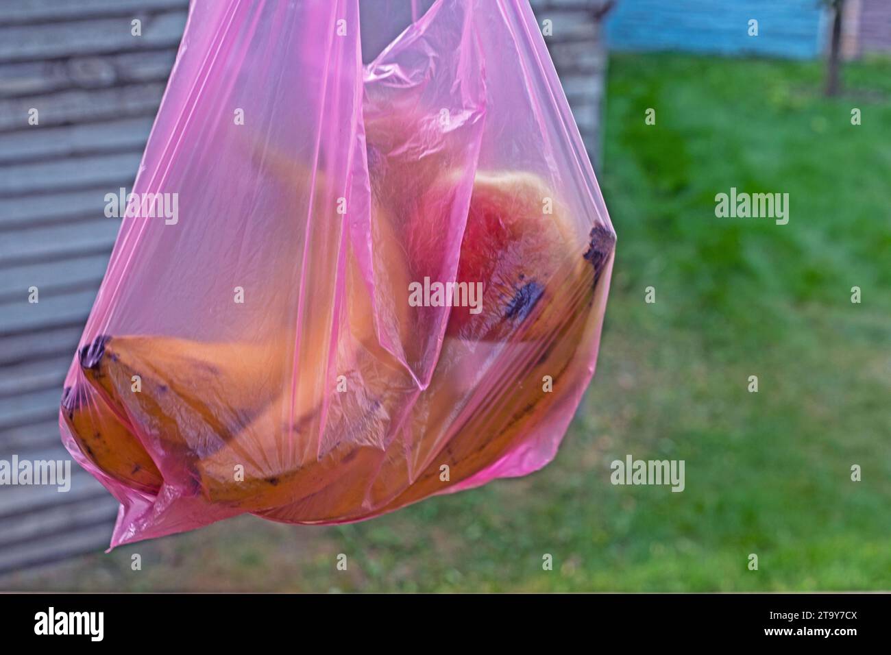 keep bananas in a disposable plastic bag. environmental ecologists