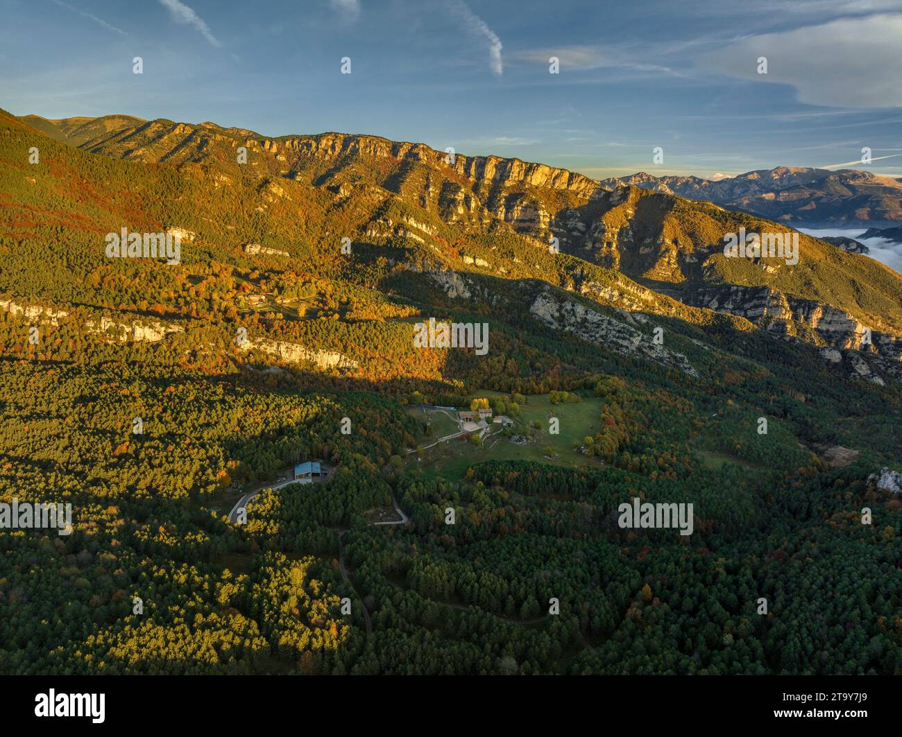 Aerial view of the Figuerassa beech forest and the Rasos de Peguera mountain in the background on an autumn sunrise (Barcelona, Catalonia, Spain) Stock Photo