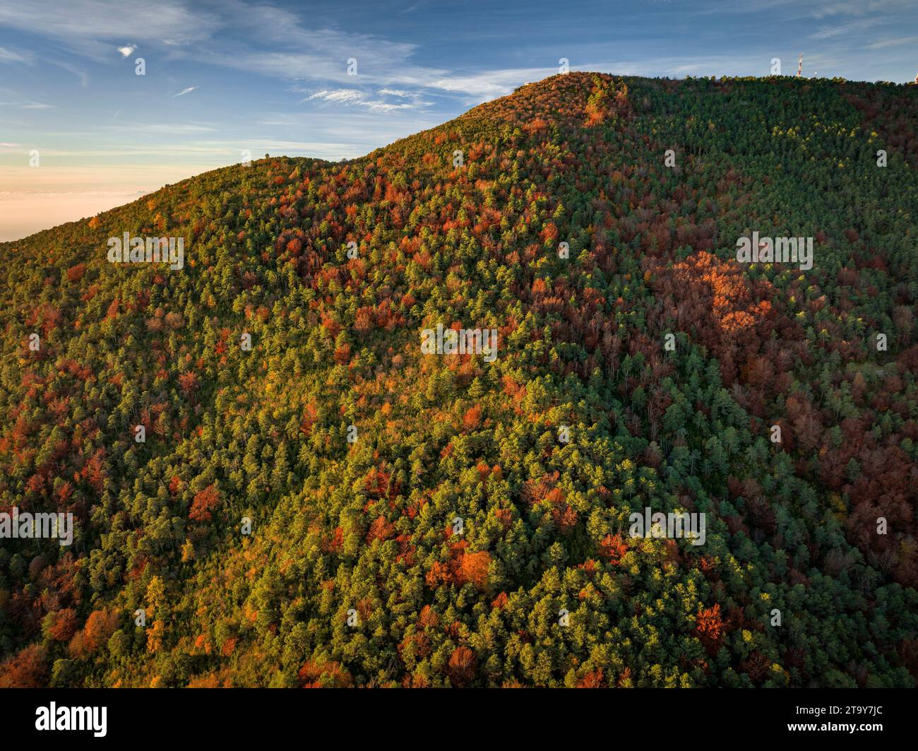 Aerial view of the Figuerassa beech forest and the Rasos de Peguera mountain in the background on an autumn sunrise (Barcelona, Catalonia, Spain) Stock Photo