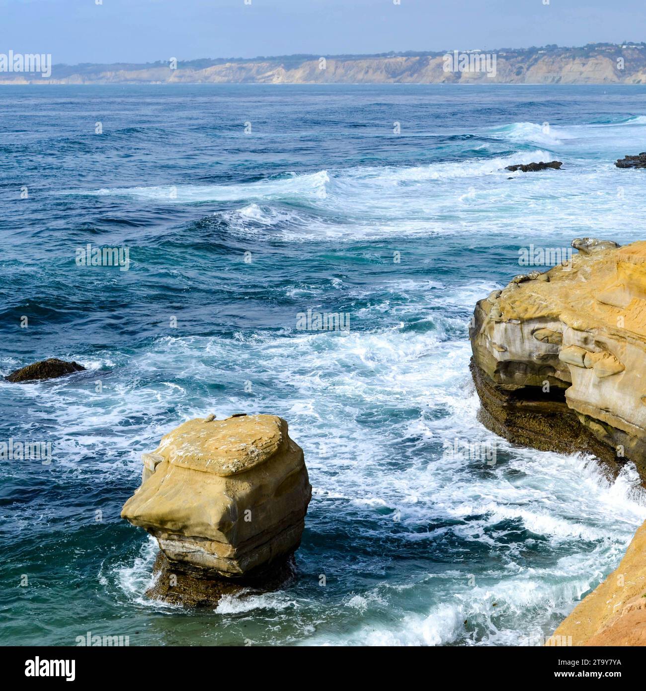 Rocky outcrops of the Point Loma formation in coastal La Jolla, California Stock Photo