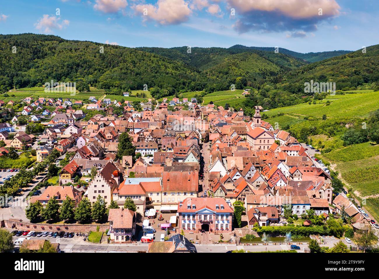 View of Riquewihr village and vineyards on Alsatian Wine Route, France