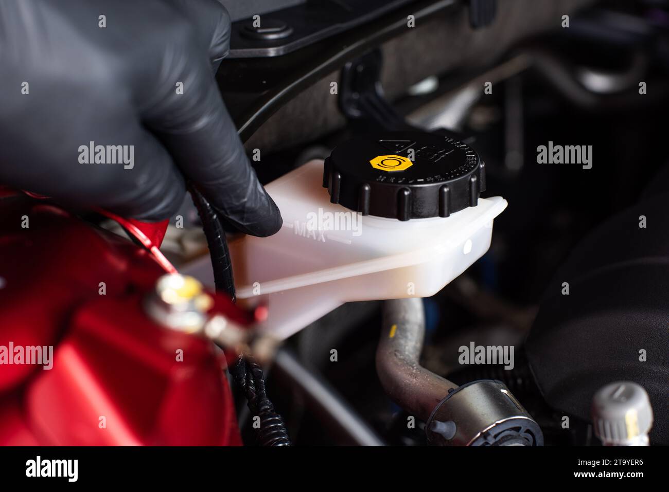 Checking the level of car's brake fluid. Car maintenance concept Stock