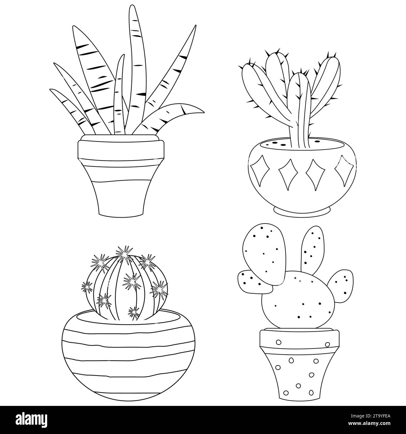 Cactus and succulent houseplants growing in pots. Black and white coloring page Stock Photo