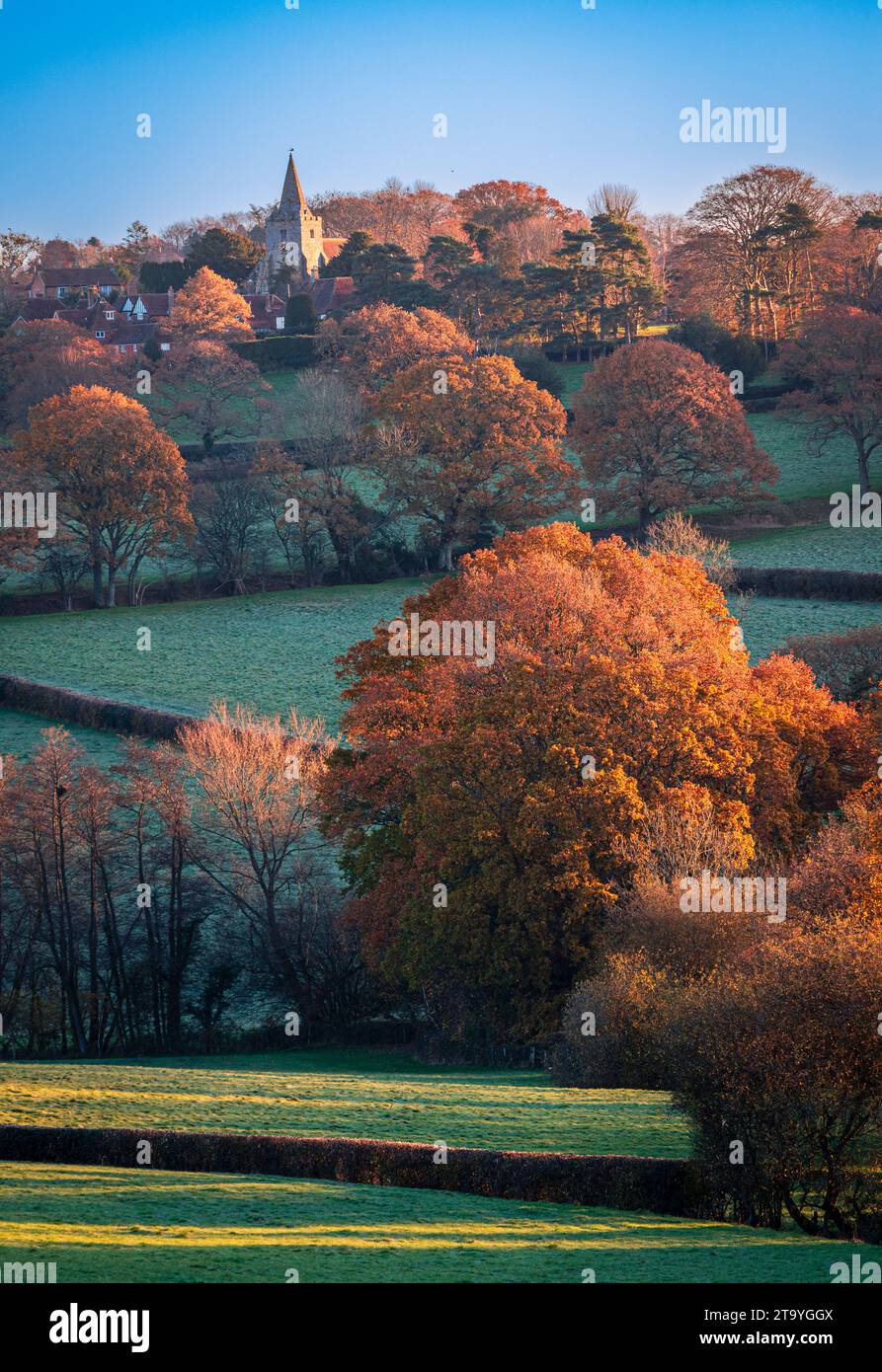 Autumn dawn sunlight on St Giles church and surrounding woodland countryside in Dallington east Sussex south east England UK Stock Photo