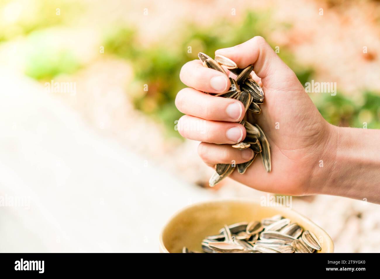 Closeup view of unrecognizable white woman hands taking plenty healthy seed as snack in a celebration Stock Photo