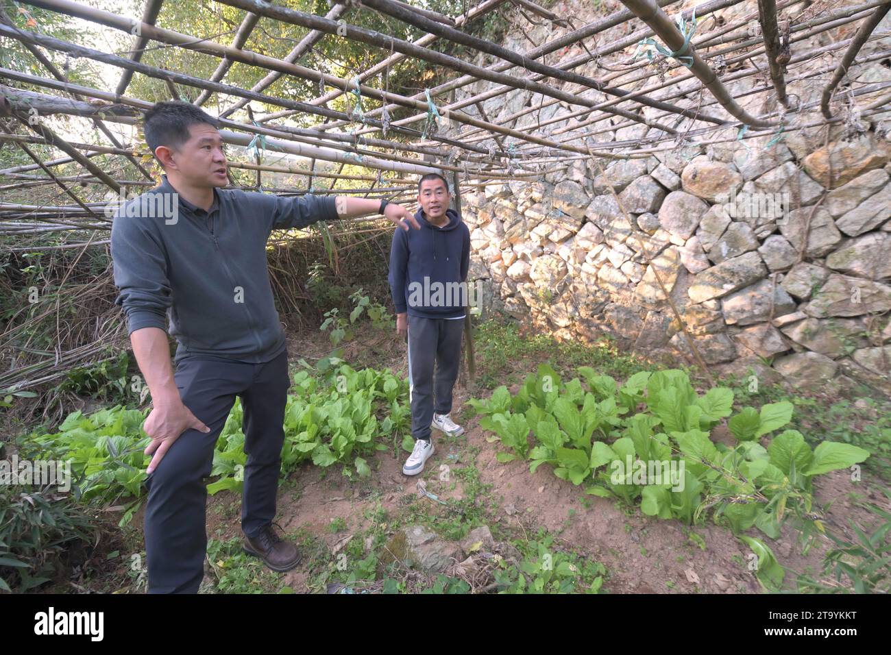 (231128) -- FUZHOU, Nov. 28, 2023 (Xinhua) -- Lin Yinan (L) and a villager check the relic site of a villa once built by foreigners in Fuzhou, southeast China's Fujian Province, Nov. 23, 2023. Kuliang, or Guling in Mandarin, is situated on the outskirts of Fuzhou, southeast China's Fujian Province. A century ago, foreigners residing in Fuzhou built villas in Kuliang, fostering a harmonious coexistence with local villagers and thus contributing to the enduring 'Kuliang stories.' 'The essence of the Kuliang stories lies in the connections between individuals. Although these foreigners had dif Stock Photo