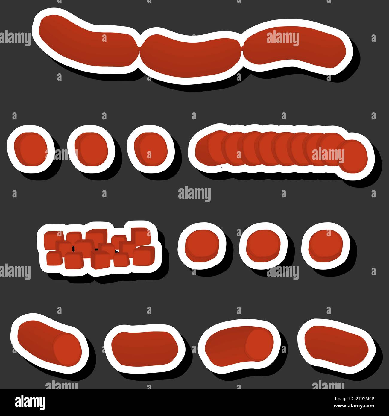 Illustration on theme big set different types delicatessen meat