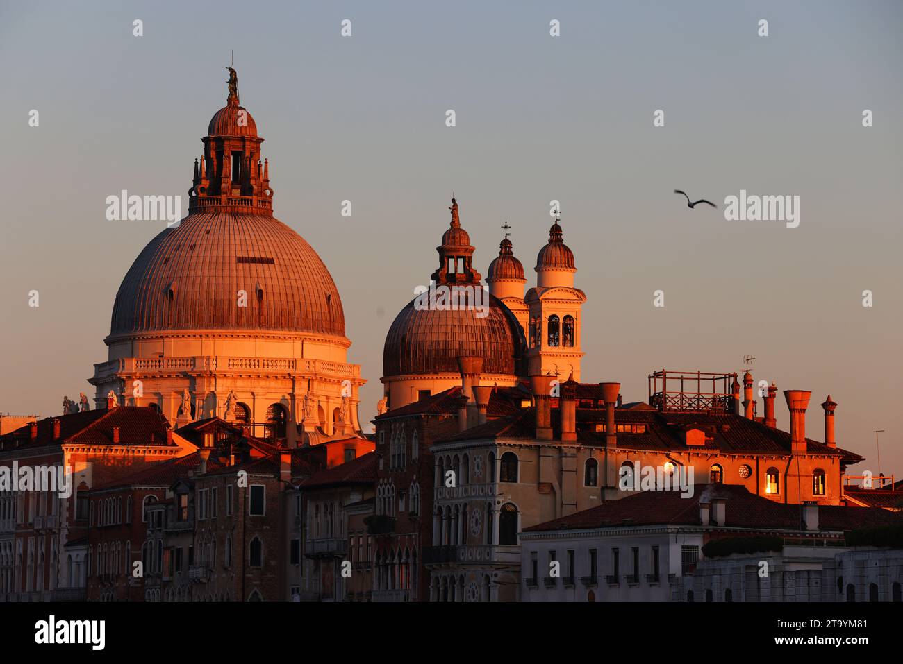 Basilika, Venedig, Italien, Kirche, Sunset, Sunrise, Stimmungsvolles Santa Maria della Salute in Venedig Stock Photo