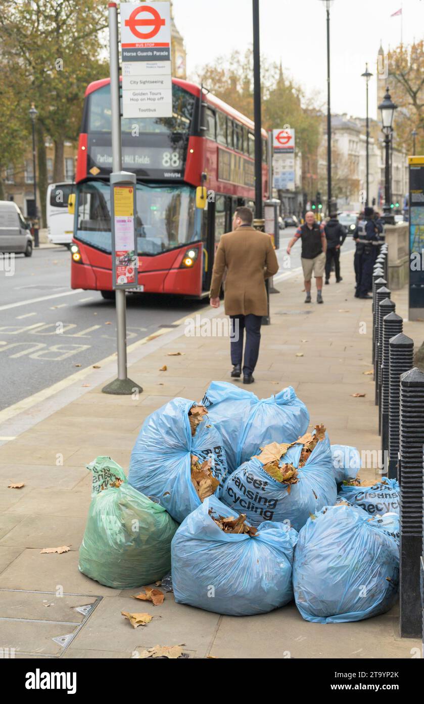 London, UK. Bags full of autumn leaves swept up in Whitehall, Westminster. late November Stock Photo