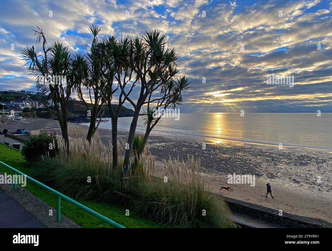 Swansea, UK. 28th Nov, 2023. A woman warpped up against the cold, walks her dog at Langland Bay near Swansea this morning as colder weather moves into the UK. Credit: Phil Rees/Alamy Live News Stock Photo