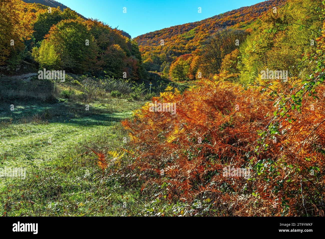 The beech, oak and maple woods of the mountains of the Maiella National Park are colored with the reds and yellows of autumn. Abruzzo, Italy, Europe Stock Photo
