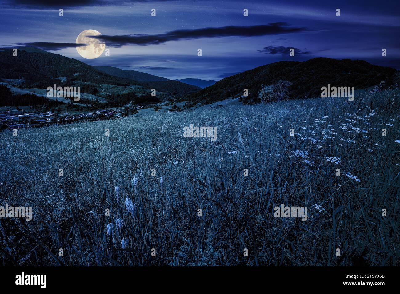 Moon Light Countryside village in mountains behind the grassy meadow with herbs on hillside at ...