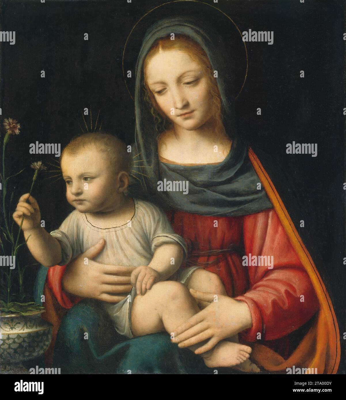 The Madonna of the Carnation by Bernardino Luini, c 1515 Stock Photo