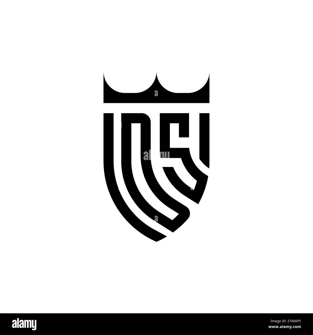 DS Luxury initial logo letters in high quality professional design that will print well Stock Vector