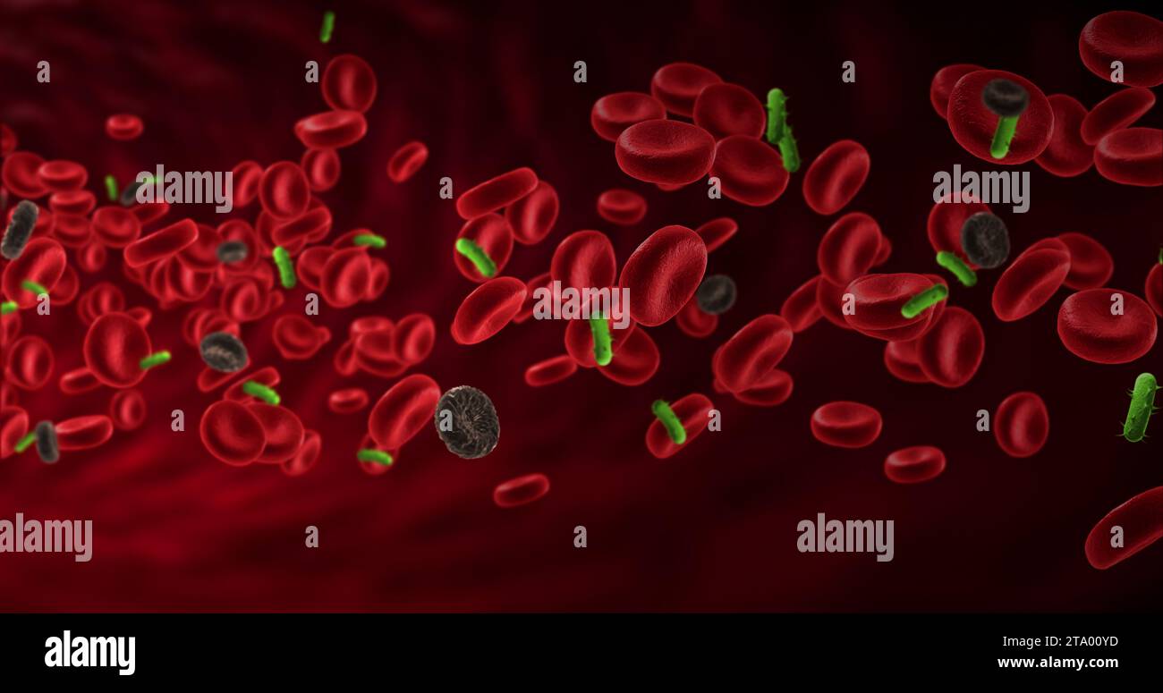 red blood cells in an artery with diseased cells near virus and bacteria, flow inside body, medical human health-care Stock Photo