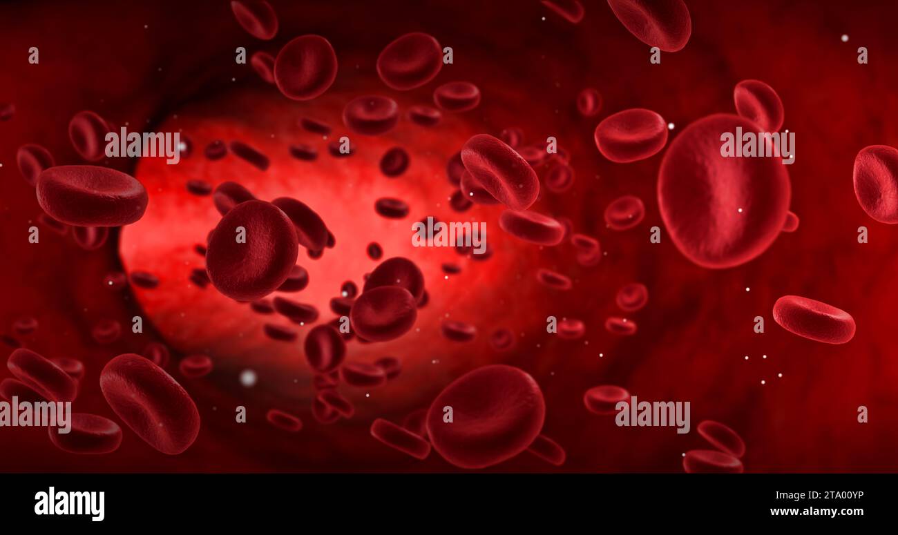 red blood cells in an artery, flow inside body, medical human health-care Stock Photo