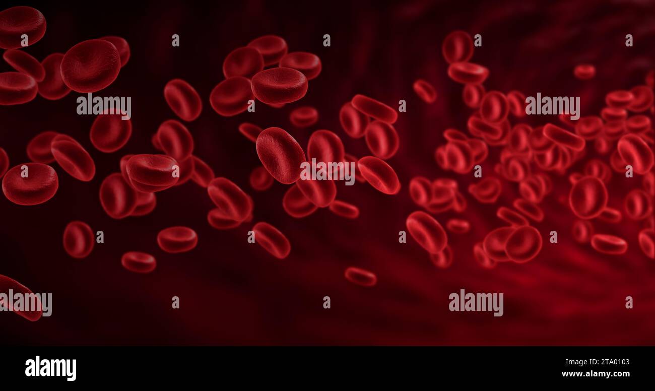 red blood cells in an artery, flow inside body, medical human health-care Stock Photo