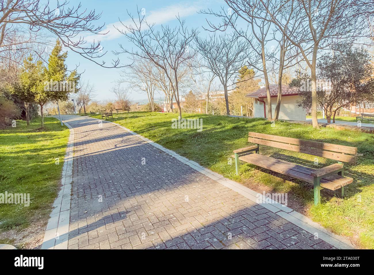natural colors in the park outdoor with wood bench Stock Photo - Alamy