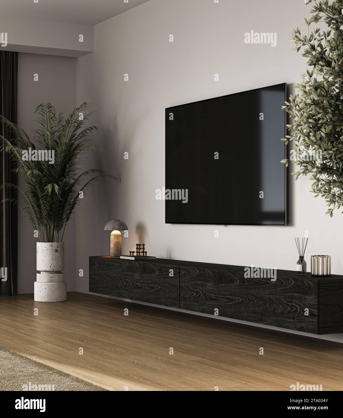 Modern shop tv area