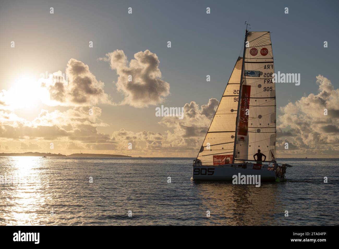 Nicolas D'ESTAIS, Cheminant Ursuit, 2nd of the production boat category of the 2 leg in 13 jours, 21 heures, 05 minutes et 44 secondes during the arrival of the Mini Transat La Boulangere 2019, Class 6,50 sailing race between La Rochelle - Las Palmas de Gran Canaria - Le Marin, from Le Marin, France on November 16, 2019 - Photo Olivier Blanchet / DPPI Stock Photo