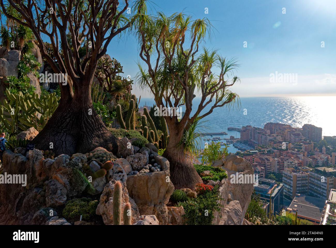 principauté de Monaco, vue sur le port depuis la place du palais, le musée océanographique et le quartier de fontvieille depuis le jardin exotique Stock Photo